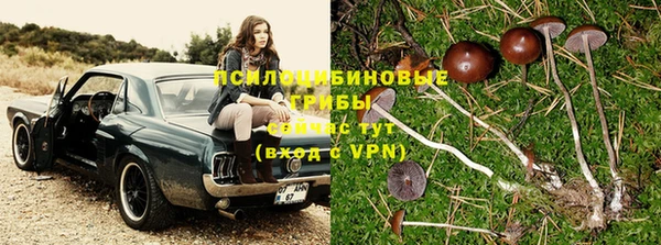 марки lsd Белоозёрский