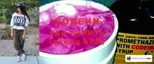 прущие грибы Беломорск