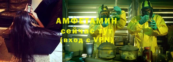 сатива Бородино